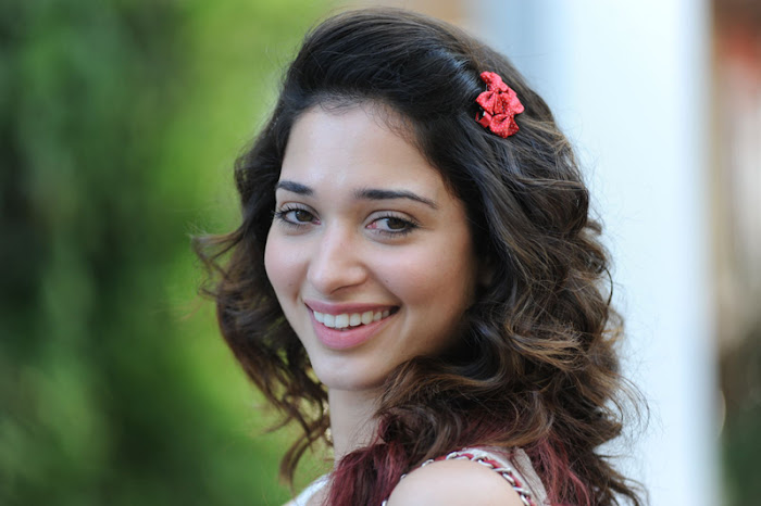 tamanna tamanna new spicy glamour  images